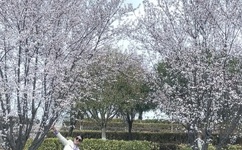 2021精品1区2区3区芒果